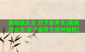 魔蝎座女生 双子座男生(魔蝎座女生 双子座男生配对指数)